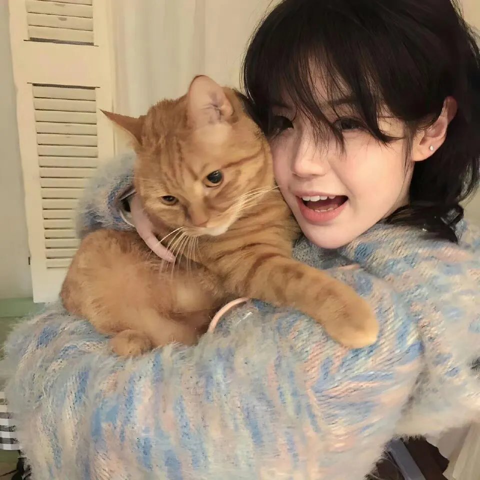 本仙尊不当赘婿