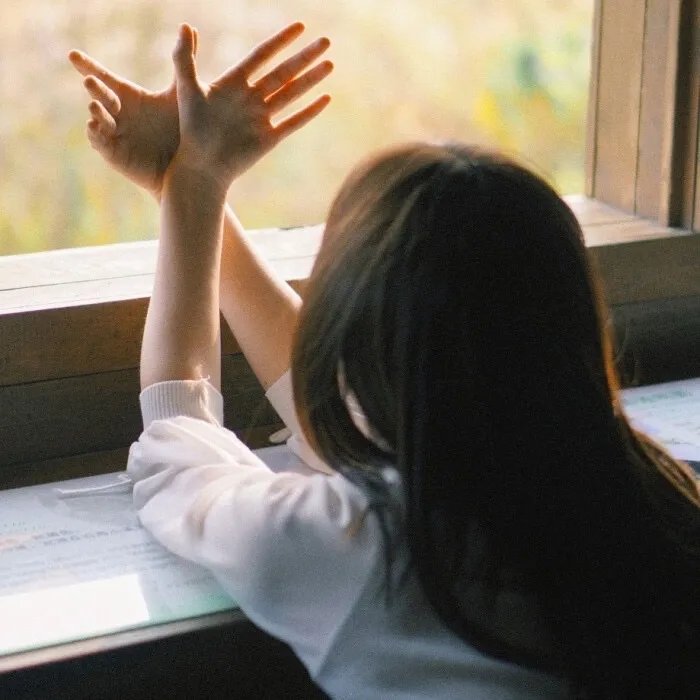 三秋迟暮候鸟无栖